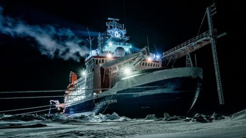 VIDEO. Réchauffement climatique : de retour après un an dans l'Arctique, l'expédition Mosaic dresse un constat alarmant