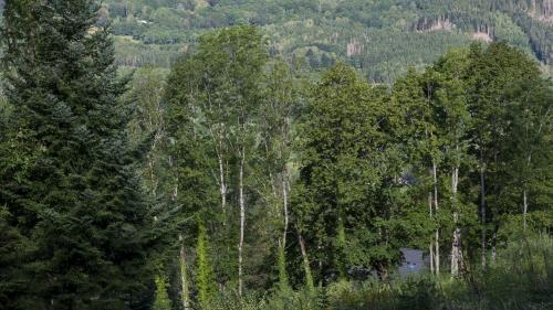 Vacances de la Toussaint : les vacanciers vont-ils choisir les Vosges ?