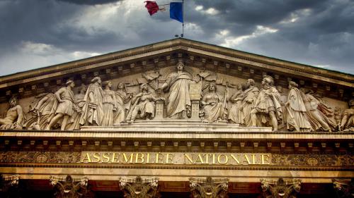 Covid-19 : deux députés se rebellent contre une règle à l'Assemblée qui les empêche de travailler en visioconférence