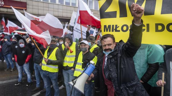 En Pologne, une loi pour le bien-être animal déclenche la colère des agriculteurs et divise la majorité au pouvoir