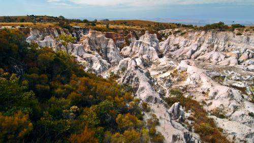 À Lyon, une exposition immersive sur la région méconnue de Makay, trésor de la biodiversité malgache