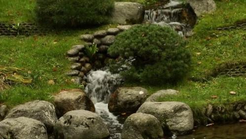 Patrimoine : à la découverte du fabuleux jardin d'Albert Kahn