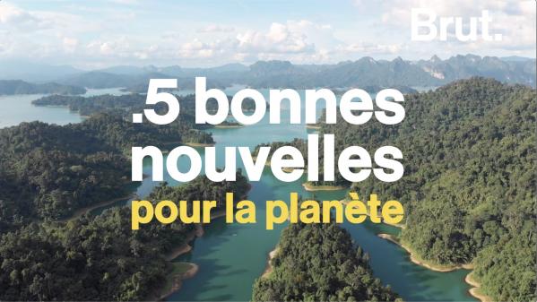 VIDEO. 5 bonnes nouvelles pour la planète