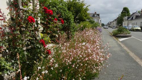 Jardin. La végétalisation des rues et trottoirs à La Ménitré, dans le Maine-et-Loire