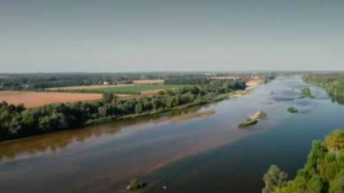 Nature :  rencontre avec les professionnels de la Loire