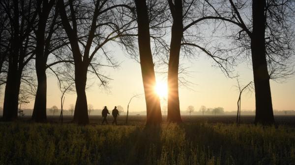 La vitamine D : notre alliée de l'hiver contre le Covid-19