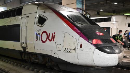 Confinement : 70% des TGV ne circuleront pas