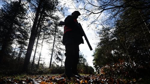 Confinement : la chasse reprend ce week-end grâce à une dérogation mais certains ne veulent pas se limiter au gros gibier nuisible