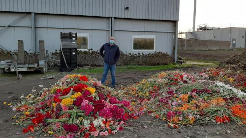 ''Si on n'est pas aidés à court terme, on est amenés à disparaître'': les producteurs de fleurs désemparés face au confinement