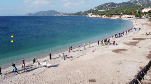 À Hyères, une chaîne humaine sur la plage pour demander l'autorisation des sports nautiques