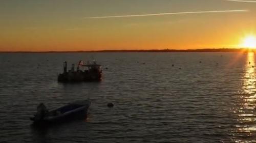 Charente-Maritime : l'Île d'Aix, un petit paradis sans coronavirus