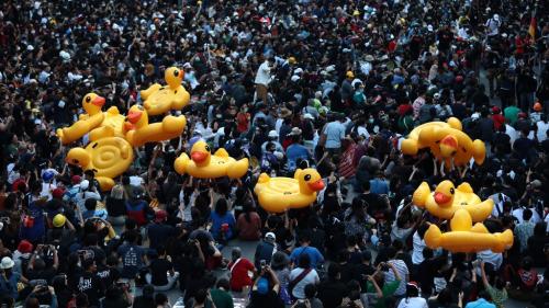 EN IMAGES. Des canards gonflables, symboles des manifestations pro-démocratie en Thaïlande