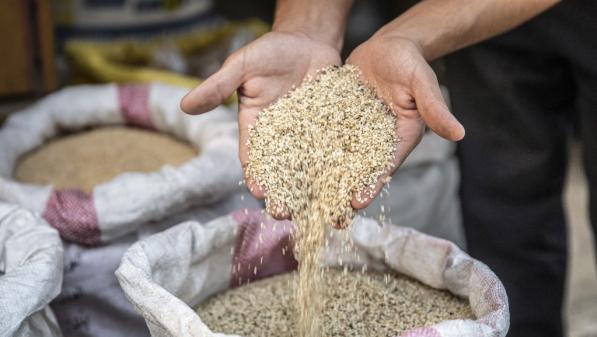 Alimentation : des graines pour prendre soin de sa santé