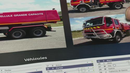 Pour distribuer leurs calendriers malgré le confinement, des pompiers de Seine-et-Marne misent sur la vente en ligne