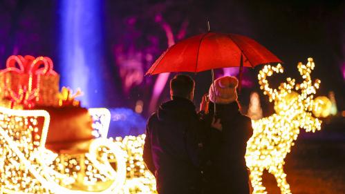 Noël : des décorations pour faire oublier la pandémie