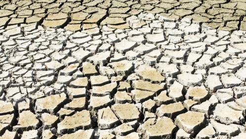 Réchauffement climatique : cinq ans après l'Accord de Paris, quelles évolutions ?