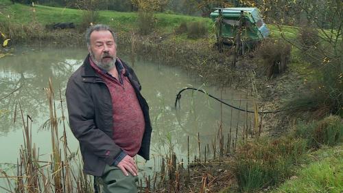 VIDEO. En Dordogne, un couple condamné à vider sa mare aux grenouilles après une plainte des voisins