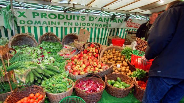 Alimentation : pourquoi les fruits et légumes bio coûtent-ils plus cher ?