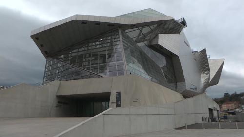 Le musée des Confluences ne rouvre pas, mais l'Hôtel de la Métropole de Lyon accueille ses oeuvres