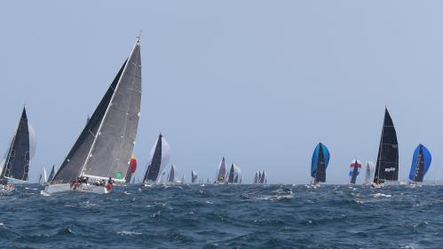 Voile : la célèbre course Sydney-Hobart, en Australie, annulée à cause du Covid-19