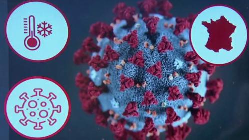 Coronavirus : comment expliquer le ralentissement de la baisse des cas ?