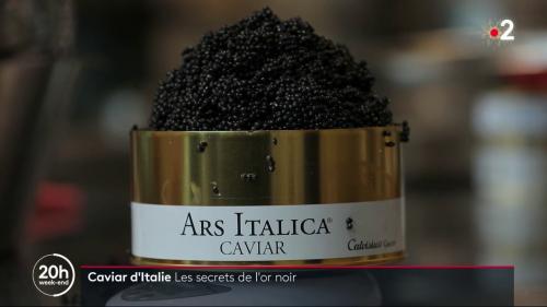 Italie : les secrets du caviar, l'or noir de luxe