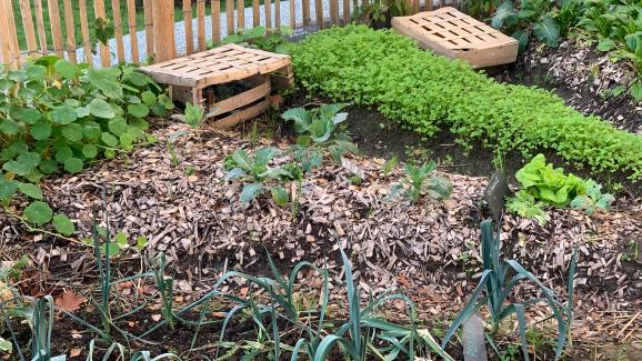 Jardin Un Potager Et Du Bonheur Partages A Oissel En Seine Maritime