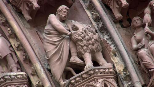 Dragons, éléphants et cigognes, le bestiaire fabuleux des bâtiments de Strasbourg prend vie dans un livre photos