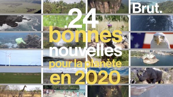 VIDEO. 24 bonnes nouvelles pour la planète en 2020