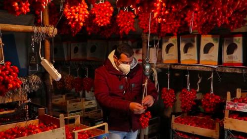 Italie : la culture des tomates sur les pentes du Vésuve