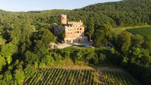 Patrimoine : 15 millions d'euros accordés pour la restauration de 101 sites