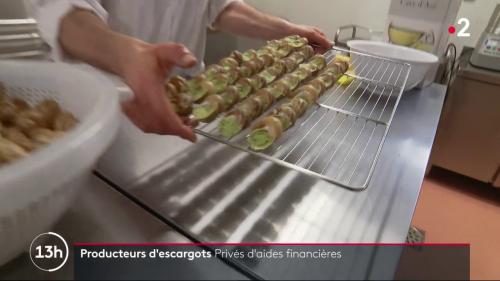 Covid-19 : le blues des producteurs d'escargots privés d'aides