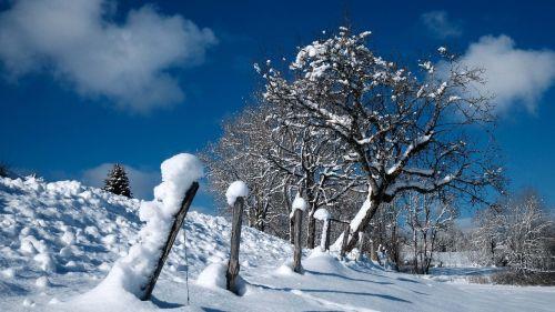 Météo : - 26 degrés dans le Jura, des températures glaciales en Franche-Comté... et ce n'est pas fini !