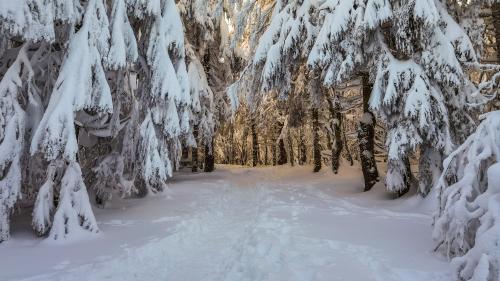 Vingt-six départements désormais concernés par la vigilance orange à la neige et au verglas