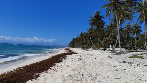 La Martinique et la Guadeloupe durcissent leurs conditions d'entrée à cause du Covid-19 : 