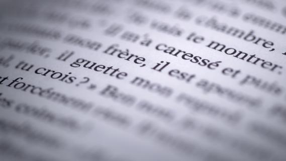 Extraits du livre La Familia grande où Camille Kouchner accuse son beau-père d'inceste sur son frère jumeau.&nbsp;