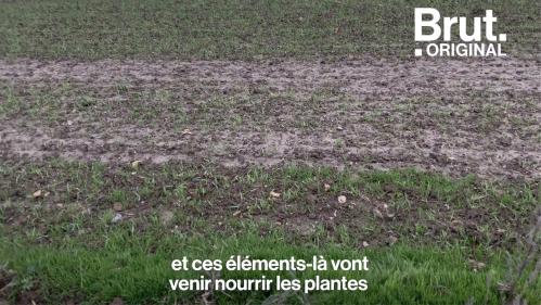 VIDEO. Quand les déchets alimentaires des villes alimentent les champs à la campagne