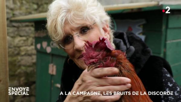 VIDEO. A la campagne, les bruits de la discorde