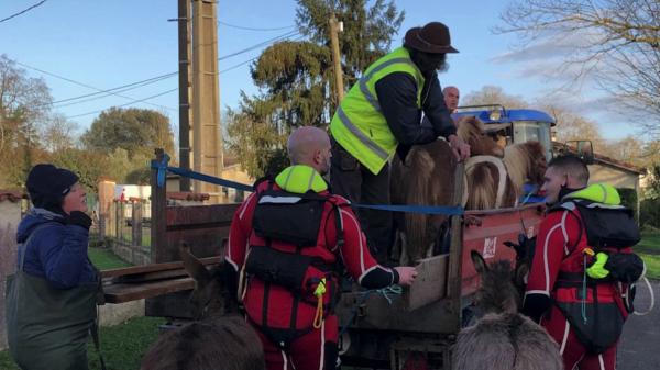 Inondations dans le Lot-et-Garonne : la mobilisation permet de sauver des chèvres