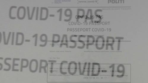 Covid-19 : l'idée d'un passeport vaccinal fait débat