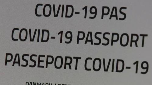 Covid-19 : le passeport vaccinal pourrait-il voir le jour en France ?