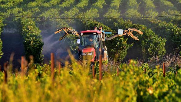 Agriculture : des dysfonctionnements dans l'attribution des aides pour se passer des pesticides ?