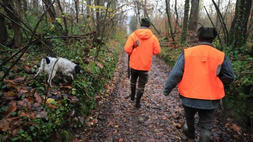 Indre-et-Loire : les chasseurs autorisés à circuler après le couvre-feu pour chasser le grand gibier