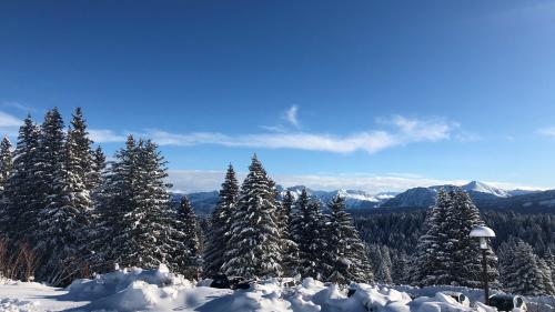 Covid-19 : près de neuf Français sur dix ne partent pas en vacances cet hiver, selon notre sondage