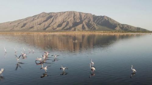 Kenya : le niveau du lac Natron a rarement été aussi élevé