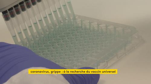 À Lyon, une startup à la recherche d'un vaccin universel contre la grippe et le Covid