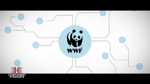 VIDEO. Les producteurs d'huile de palme labellisée par le WWF ont-ils vraiment cessé de ravager la forêt primaire ?