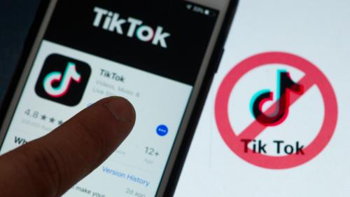 Réseaux sociaux : les consommateurs européens s'attaquent à TikTok et à ses pratiques 