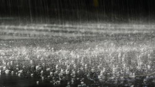 Au fil de l'eau. Niveau satisfaisant des nappes phréatiques après les pluies de ces dernières semaines