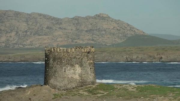 Méditerranée : à la découverte de l'île d'Asinara, entre la Corse et la Sardaigne